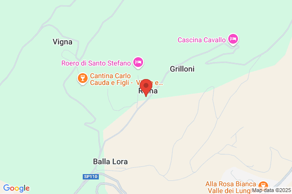 Nizza Silvano azienda vitivinicola