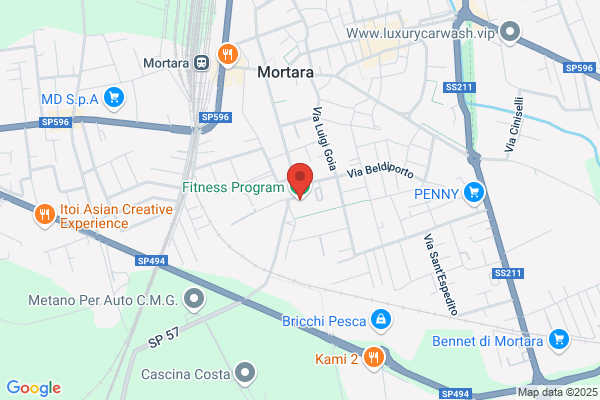Palestra Fitness Program