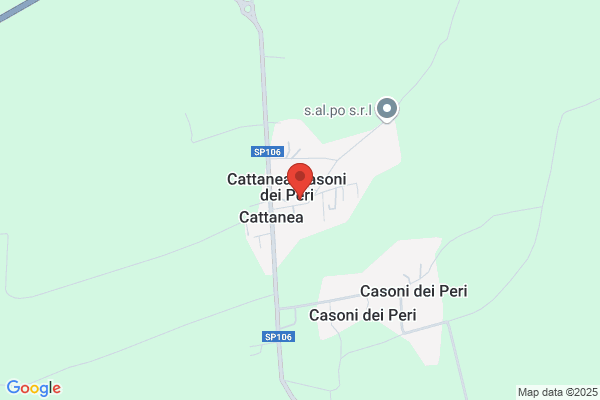 Panizza Colosini annita