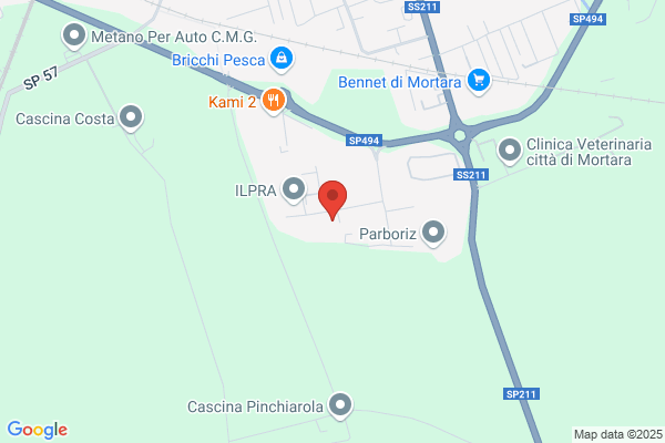 Pisani S.N.C. Di Pisani Piermario E C.