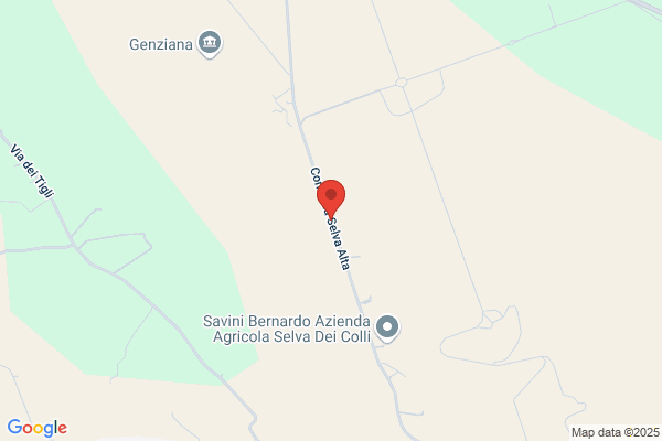 Borgo Spoltino