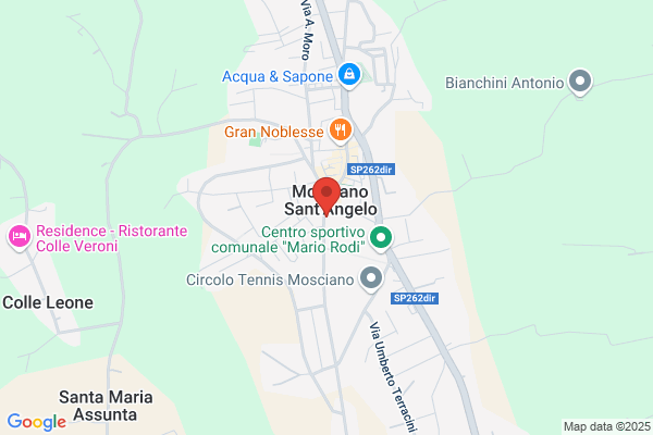 Evergreen Di Salemme Rosina