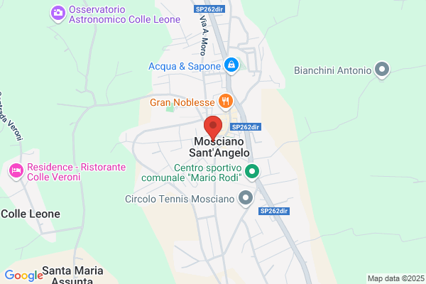 Pizzeria Centrale