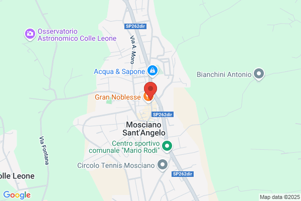 Stacchiotti vincenzo