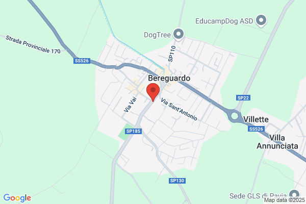 Cartolibreria Ticino