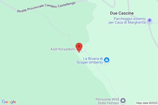 Asd Horsedom