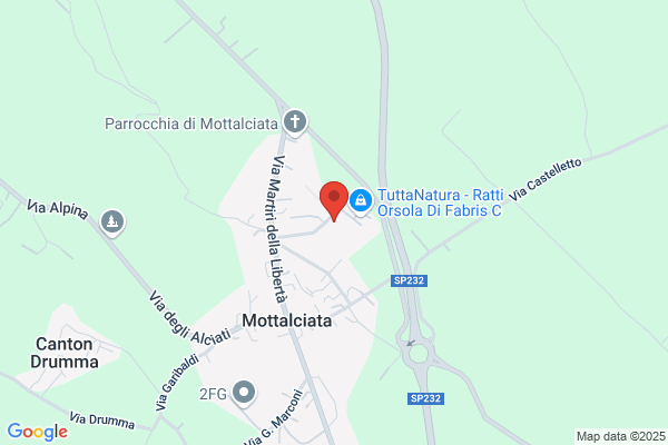 Municipio