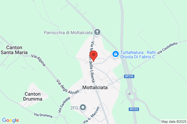 Scuole Elementari E Materne
