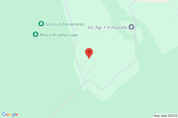 Pezzolla orazio