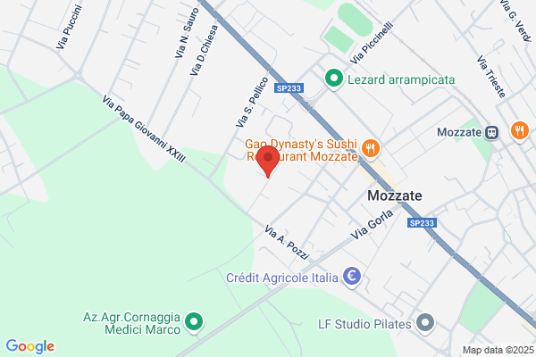 Loffa orazio