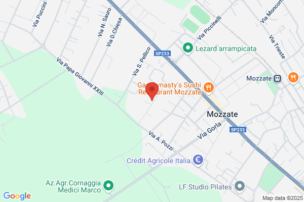 Radice Fratelli (S.N.C.)