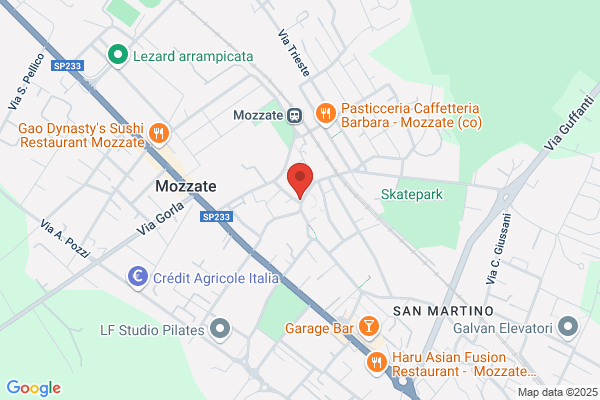 Saibeni maurizio