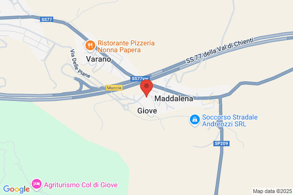 Carrozzerie Automobili Palmieri