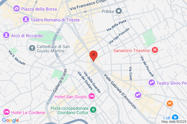 Fenice Service Trieste