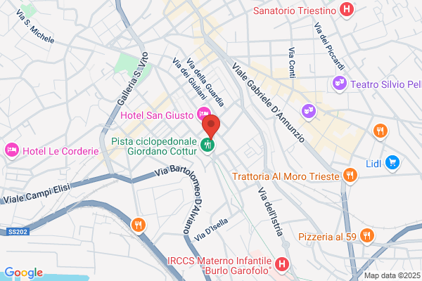 Il Pettine Amico