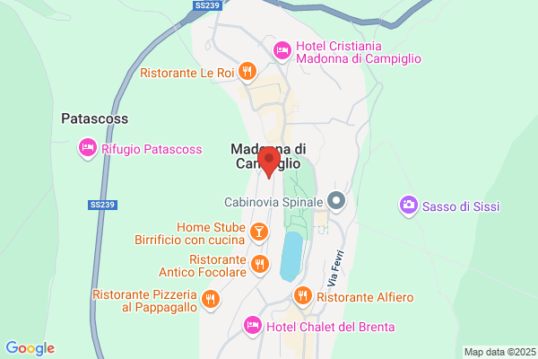 A.H. Antonioli Hotels & Residence S.R.L.