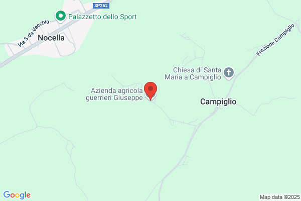 Guerrieri Luigi