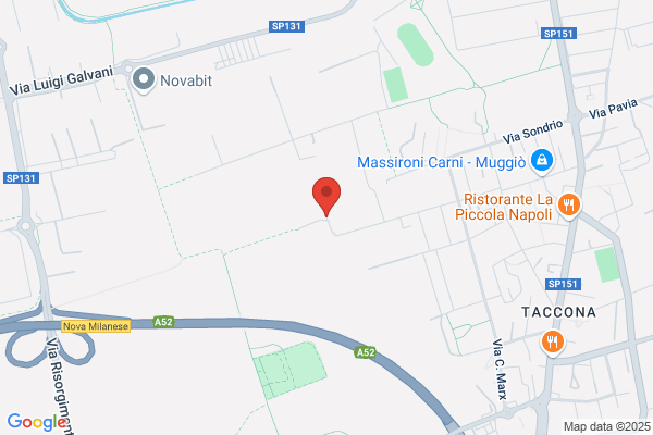 Ricci massimo