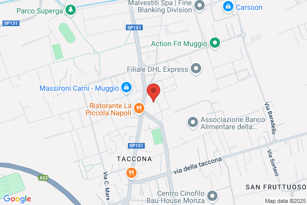 Mongelli marilena