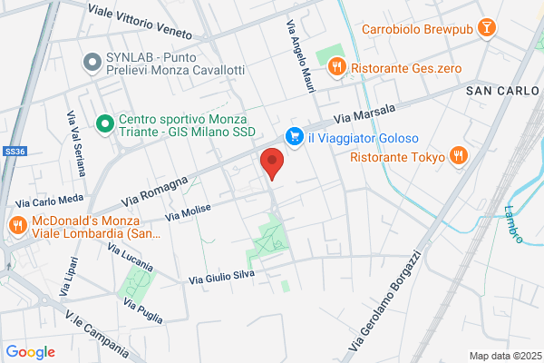 Avis Autonoleggio - Monza