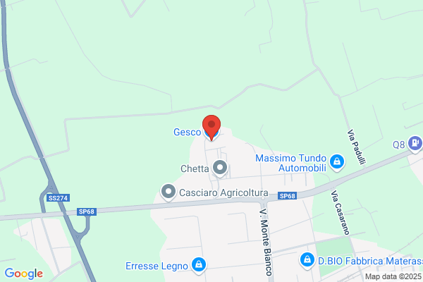 Gesco Srl