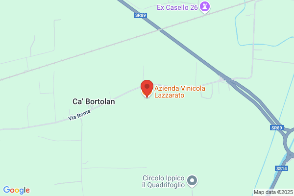 Lazzarato fabrizio