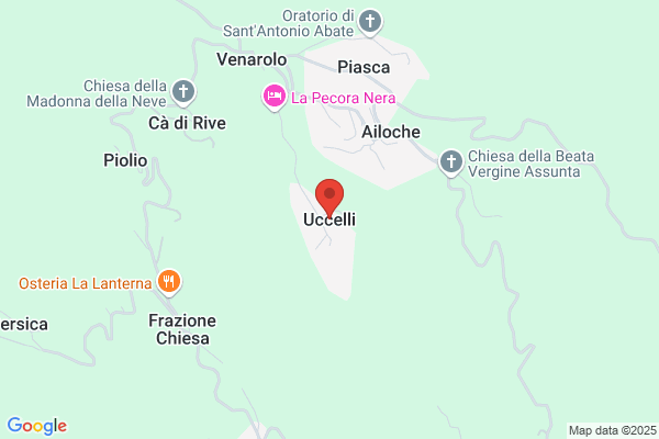 Uccelli giovanni