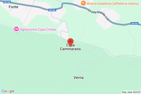 Cammarano giuseppe