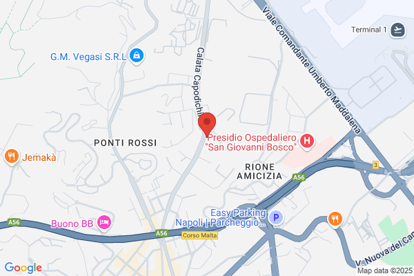 Il Raduno Sas Di Vitale Carmine