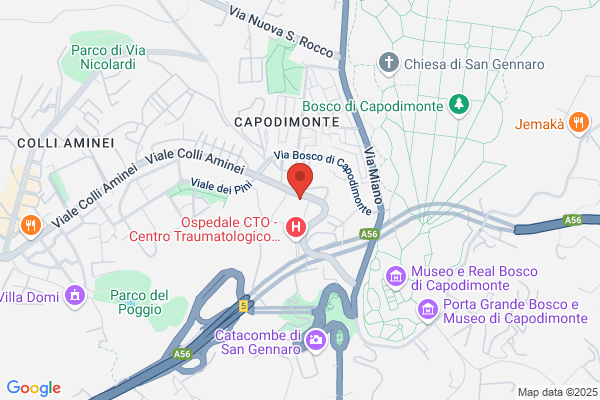 Le Rose Immobiliare S.R.L.