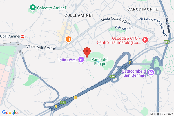 Officina Capaccio Group