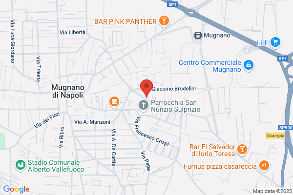Sicurezza Sociale Onlus Protezione Civile Napoli