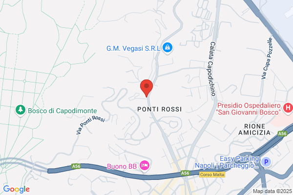 Ristorante e Pizzeria degli Amici