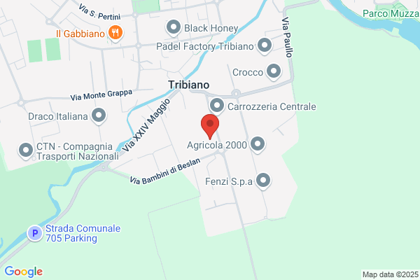 Autogru Noleggio Tricarico Fabio