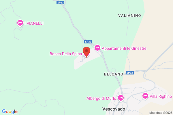 Bosco Della Spina S.R.L