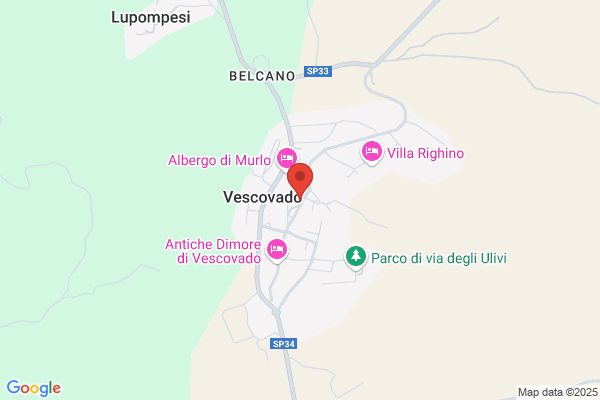Fineschi Stefania E C.
