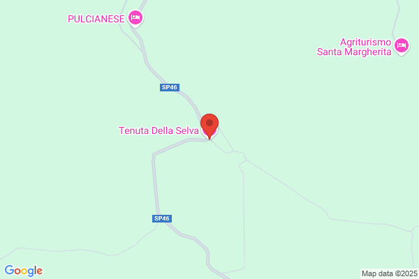 Tenuta Della Selva S.R.L.