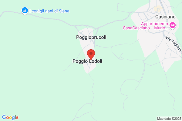 Troiano paolo