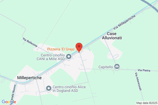 Pizzeria Paninoteca El Grejo