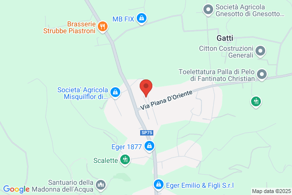 Pianta davide