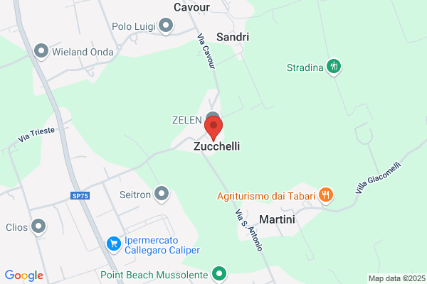 Zucchello luciano