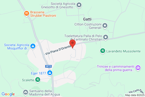 Amico Srl