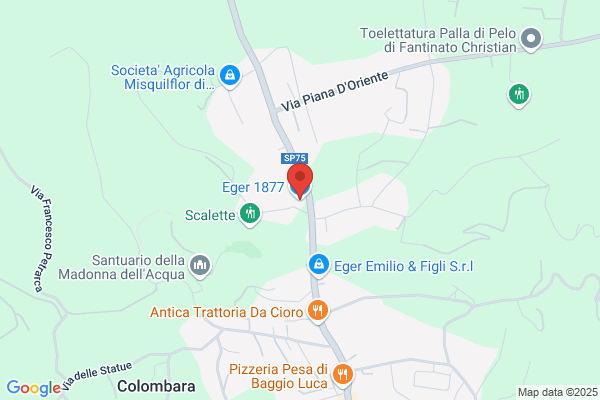 Conjugi Eger Srl