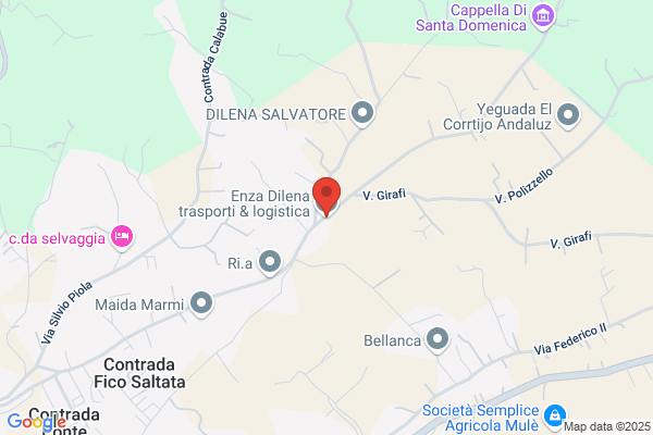 Enza Dilena Trasporti & Logistica S.r.l.