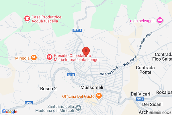 Guardia Di Finanza