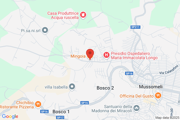 Mingoia giovanni