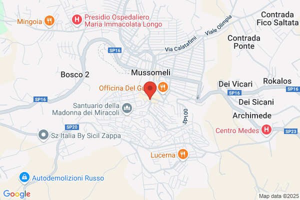 Vieninviaggio