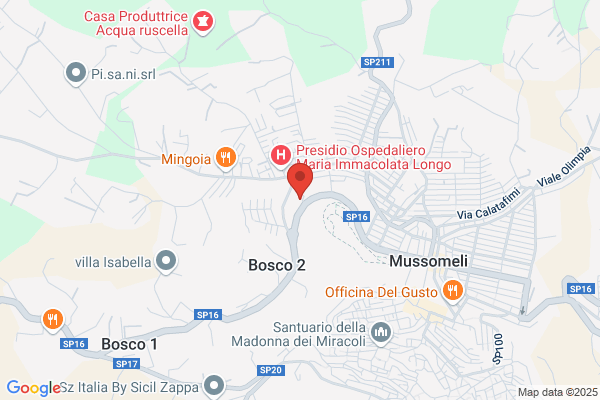 Vigili Del Fuoco