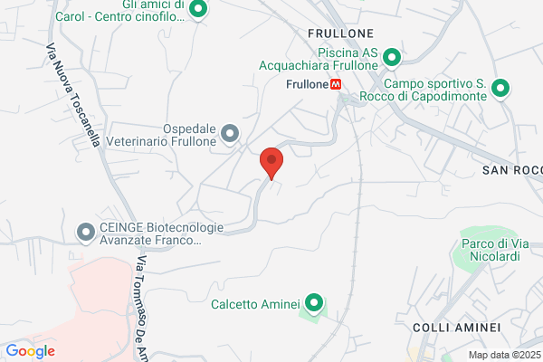Ab Service Bruognolo