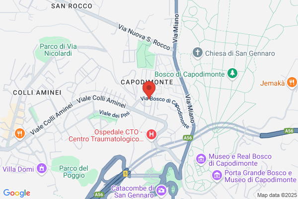 Capodimonte Travel Associazione